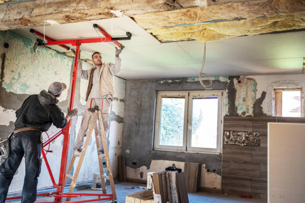 Best Cellulose Insulation  in Strongsville, OH
