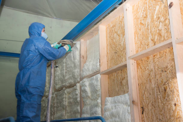 Best Wall Insulation Contractor  in Strongsville, OH